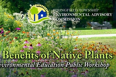 Native Plant Workshop - March 30
