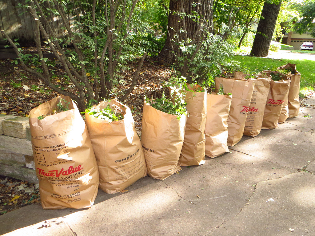 https://www.springfieldmontco.org/media/2291/yard-waste-bags-flickr.jpg