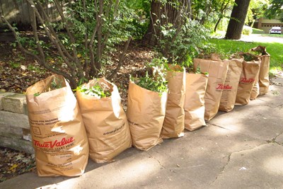 Curbside Leaf Collection Ends Dec 27th
