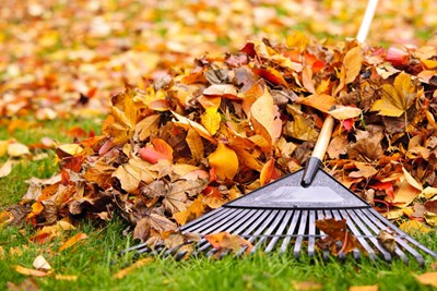 Curbside Leaf Collection Ends Dec 22nd