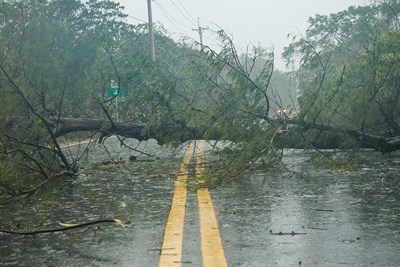 Storm Damage & Power Outages