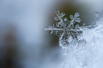 Winter Weather Advisory 1/6/25