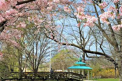 Spring/Summer 2021 Newsletter Now Available!