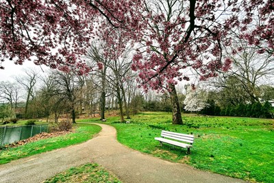 Park Classifications and Park Event Permit Agreement