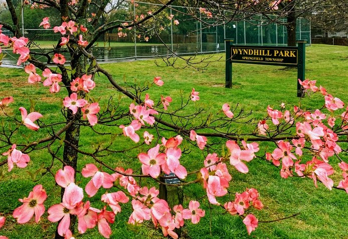 Wyndhill