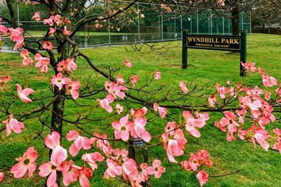 Influx of Trash Found in Springfield Parks