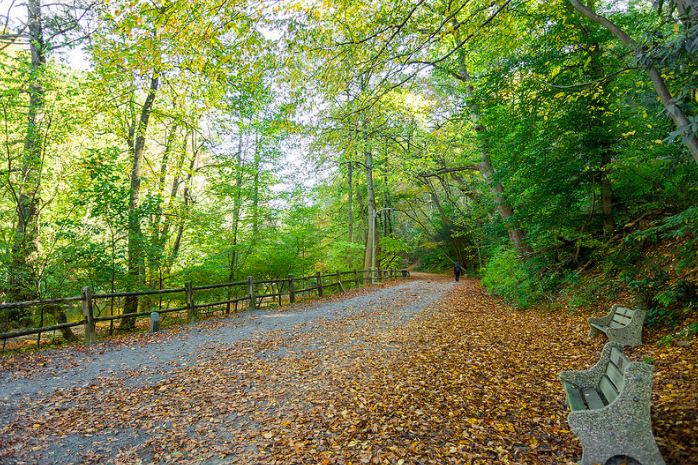 Forbidden Trail .2E16d0ba.Fill 735X490