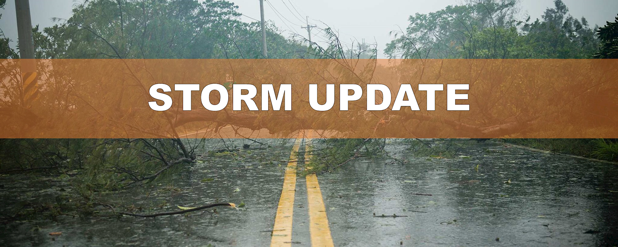 Storm Update