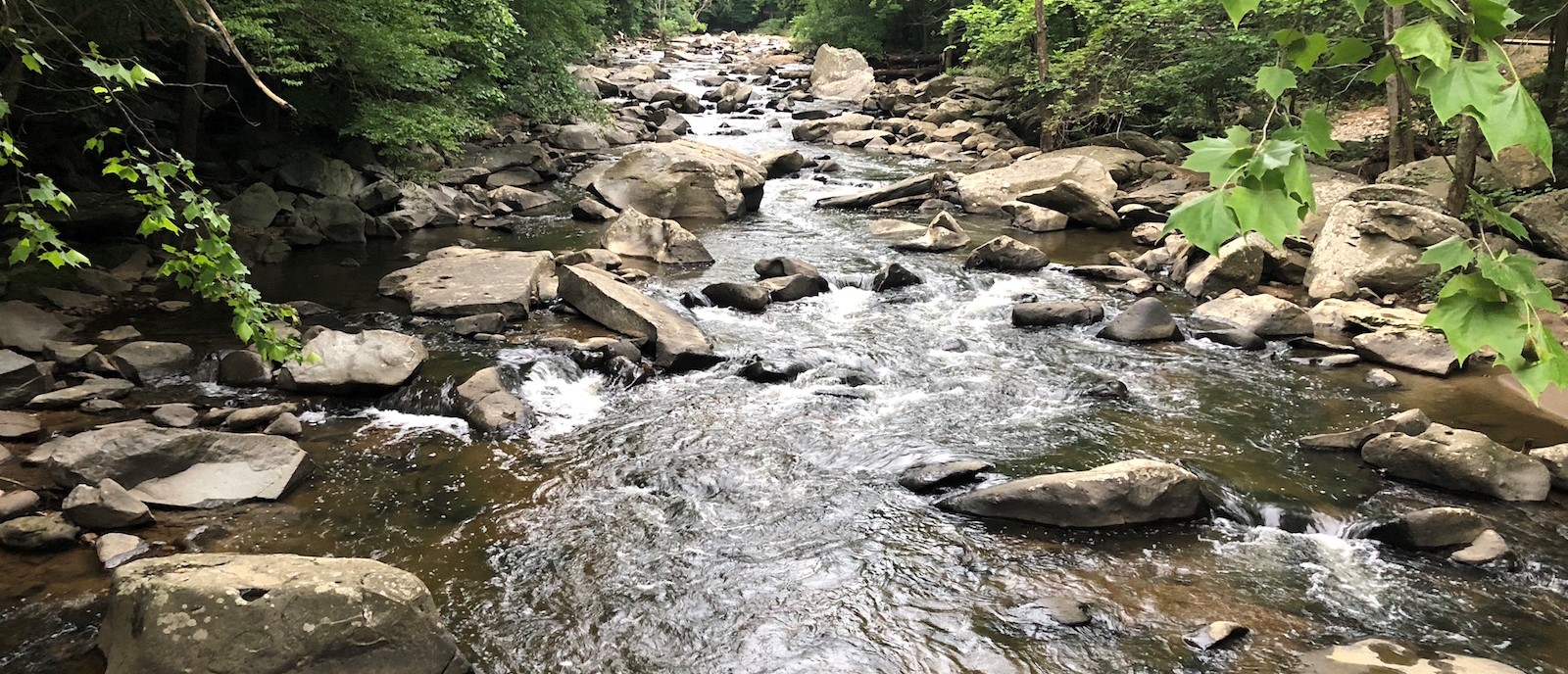 Pollutant Reduction Plan (PRP) - Public Notice