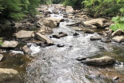 Pollutant Reduction Plan (PRP) - Public Notice