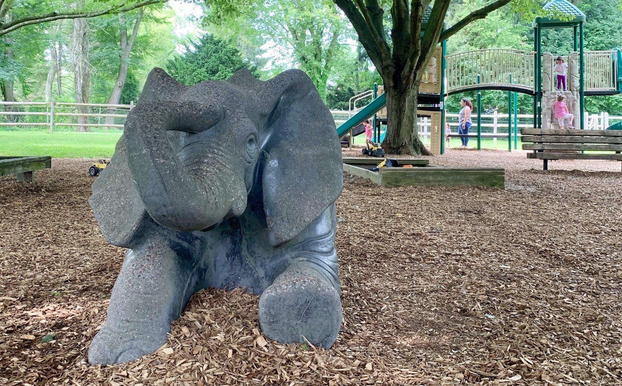 Elephant
