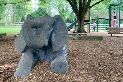 2022 Summer Recreation Guide