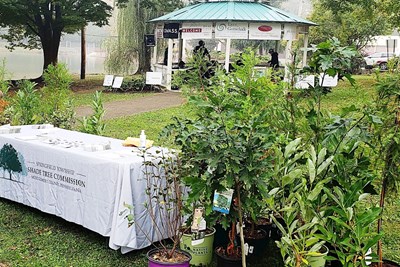 Shade Tree Commission Vacancy