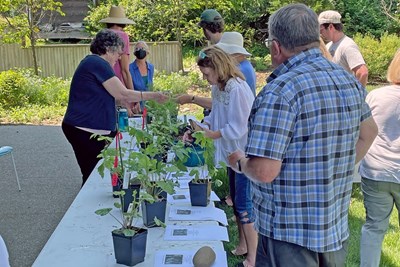 Native Plant Sale held on May 21, 2022