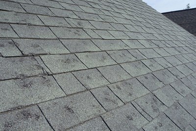 Hail Damage Assistance