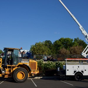 296456382 425604692941817 6639437498543199694 N