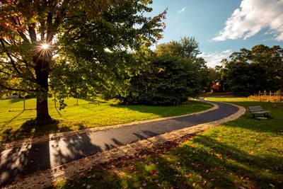 Mermaid Park Restoration