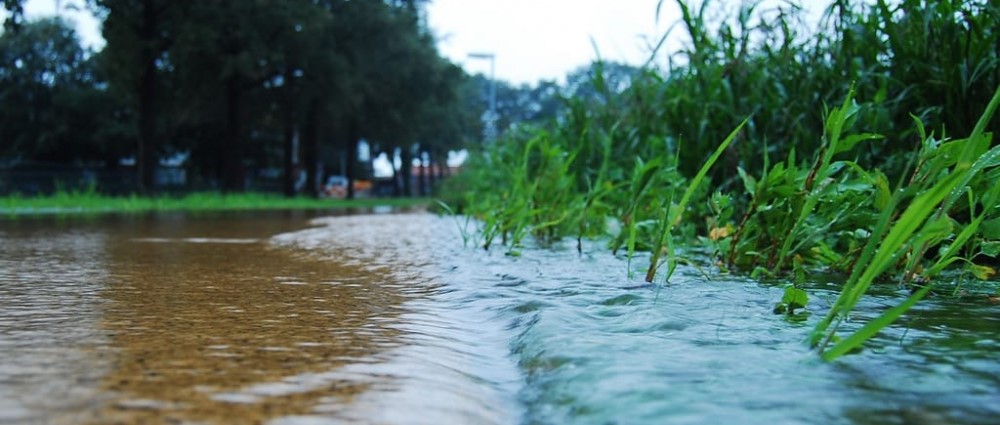 Stormwater (1) (1)