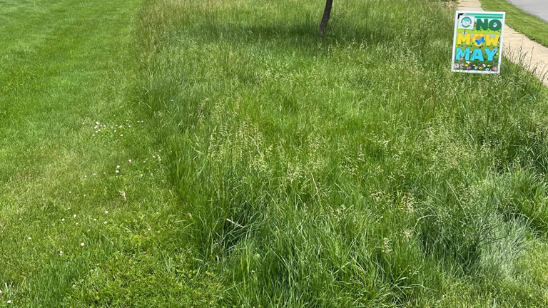 No Mow May Sign-up