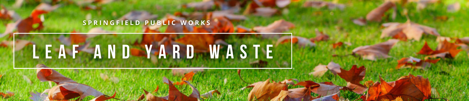 Yard Waste & Leaf Collection