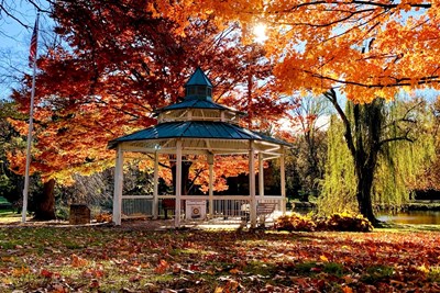 Fall/Winter 2023 Newsletter is Now Available!