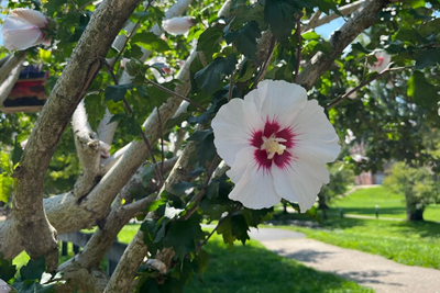 Spring/Summer 2024 Newsletter Now Available!