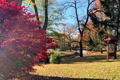 Fall/Winter 2024 Newsletter is Now Available!