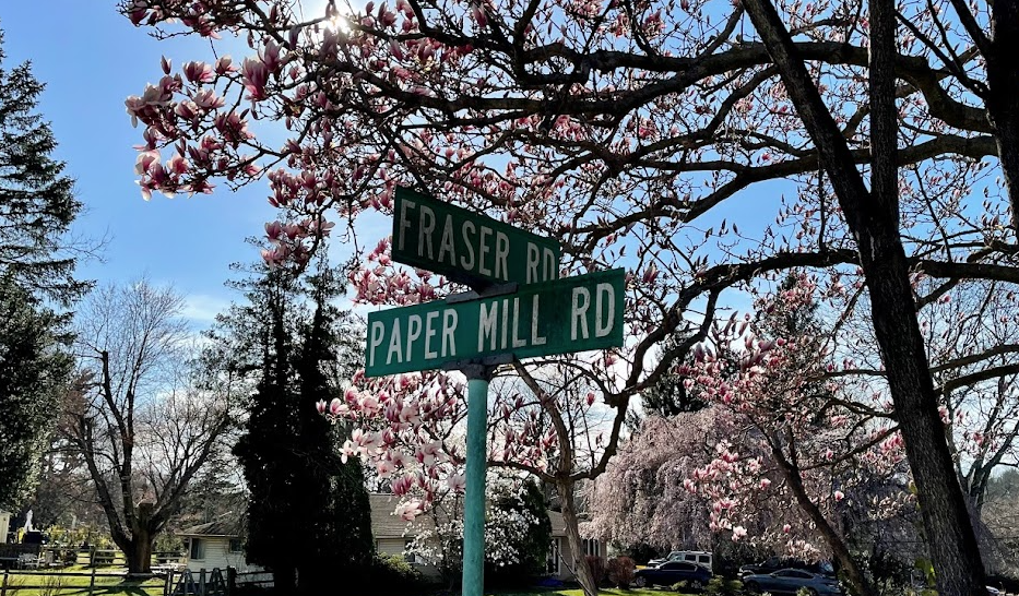 Starting & Operating a Business in the Township Presentation