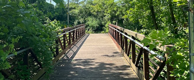 Spring/Summer 2026 Newsletter is Now Available!