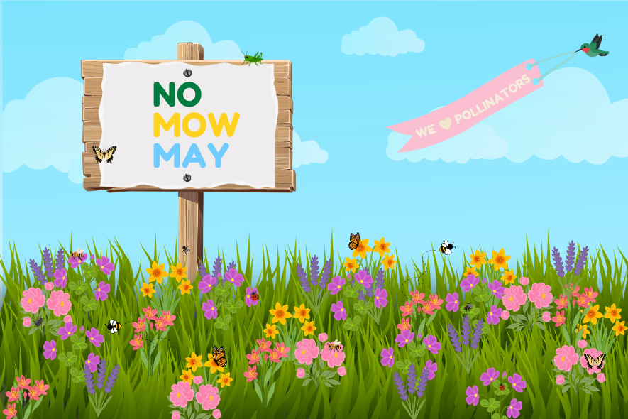 No Mow May Program 2026