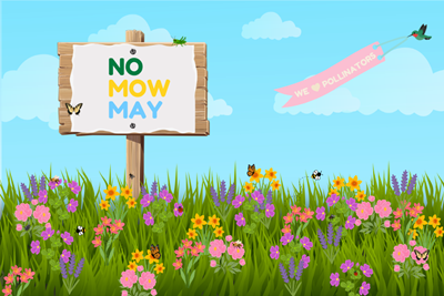 No Mow May Program 2026