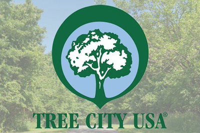Springfield Township Earns 2025 Tree City USA Recognition