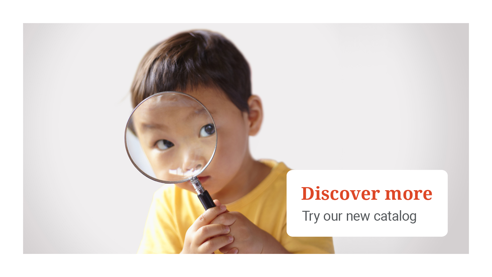 Updated Look for Library Catalog