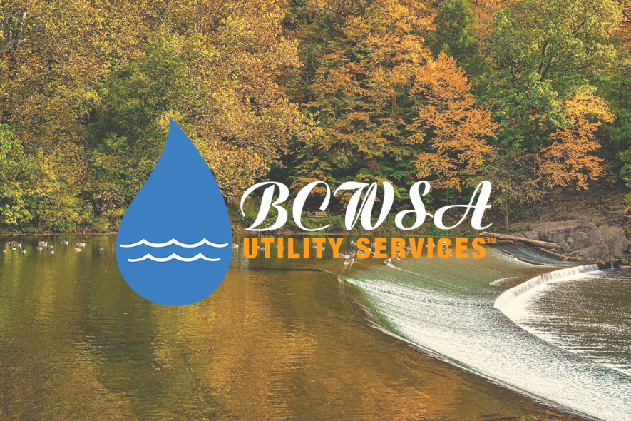 Understanding Your BCWSA Bill